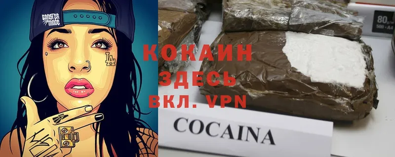 купить  сайты  Ярцево  Cocaine Fish Scale 